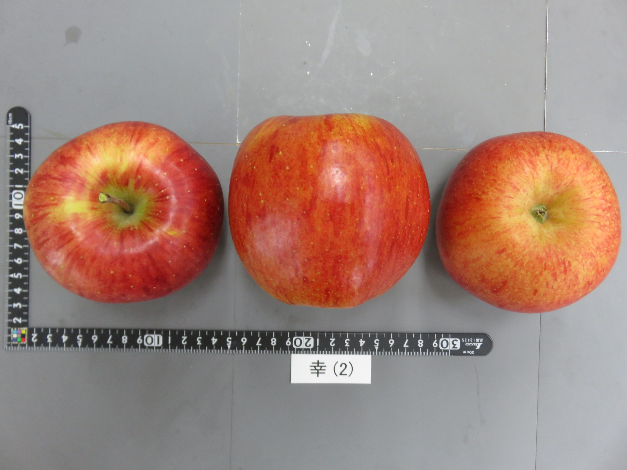 品種登録迅速化総合電子化システム