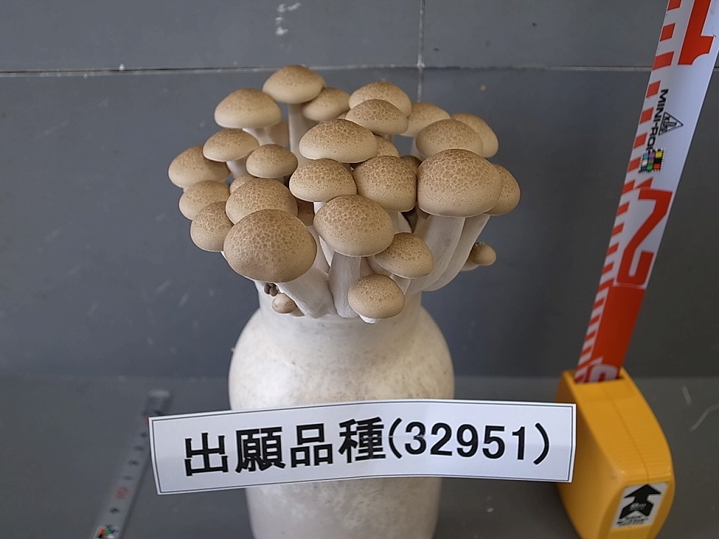 品種登録迅速化総合電子化システム