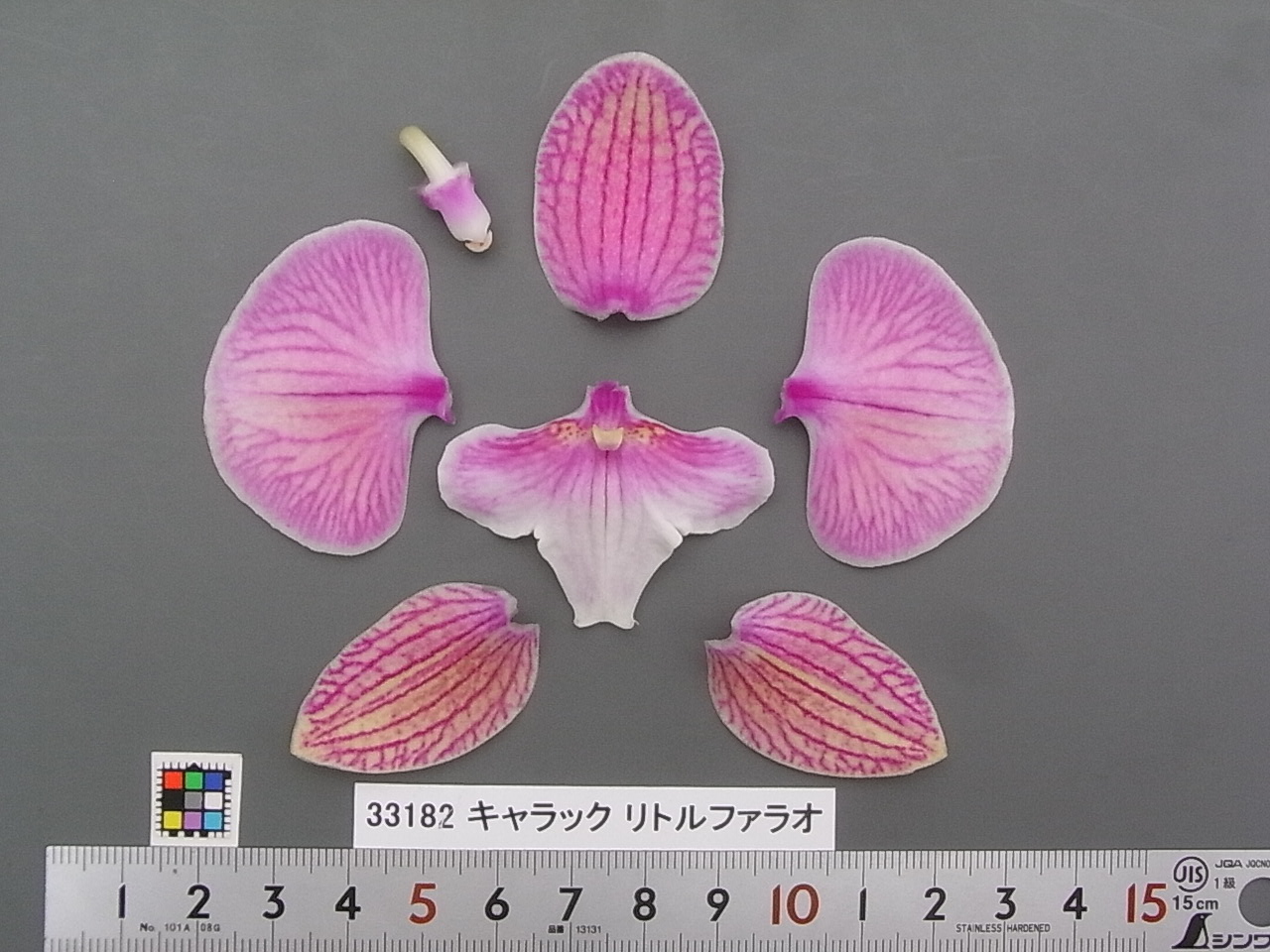 品種登録迅速化総合電子化システム