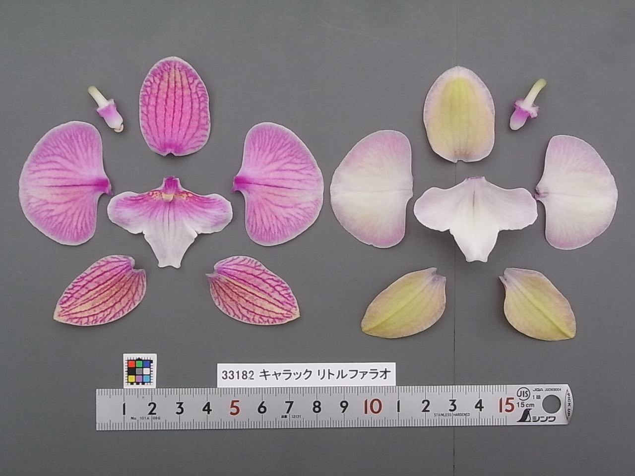 品種登録迅速化総合電子化システム