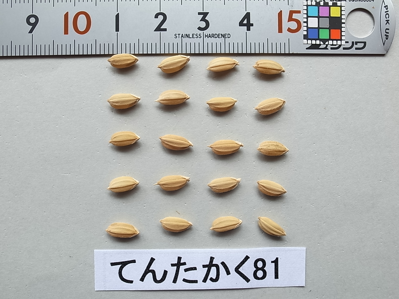 品種登録迅速化総合電子化システム