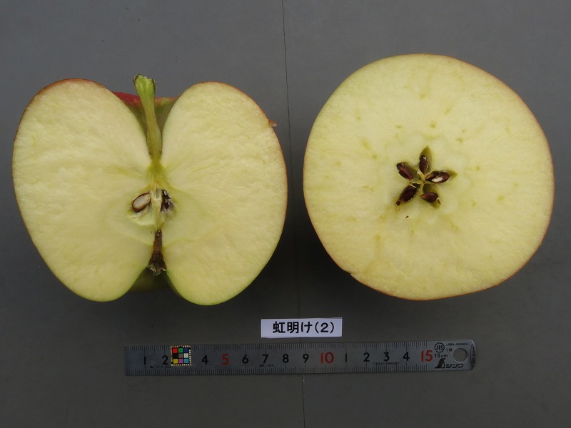 品種登録迅速化総合電子化システム