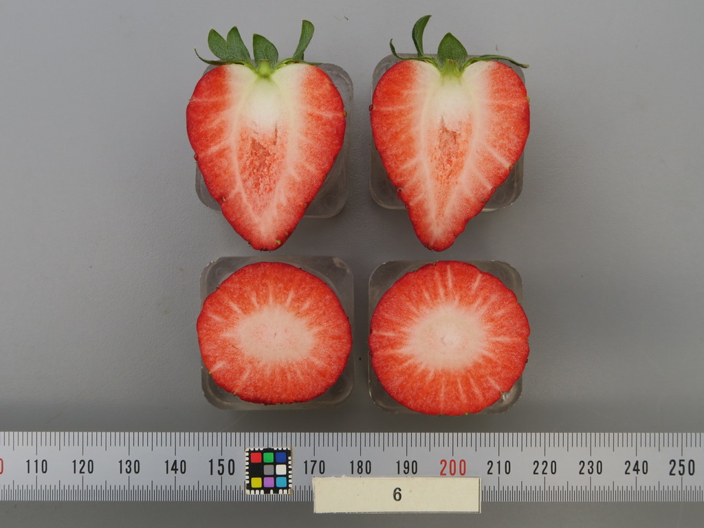 品種登録迅速化総合電子化システム