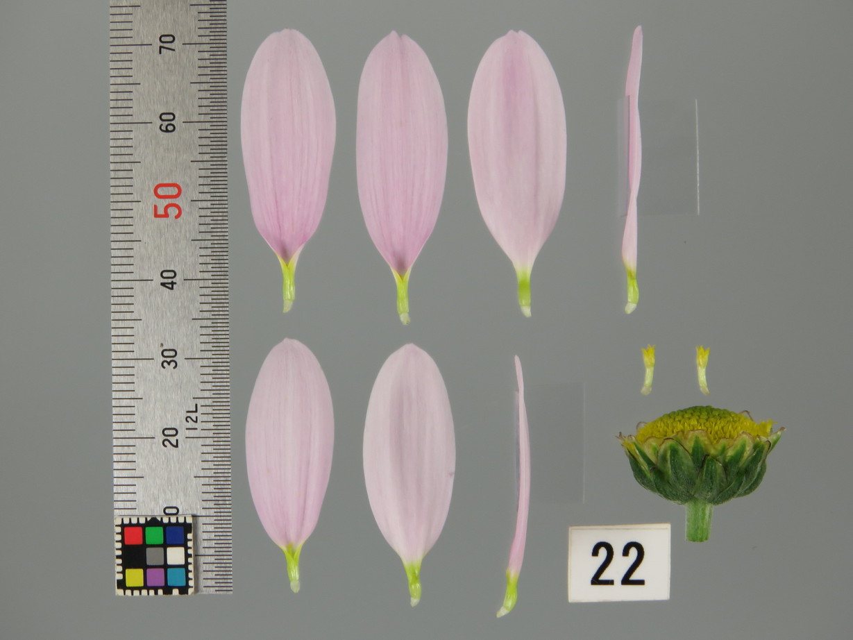 品種登録迅速化総合電子化システム