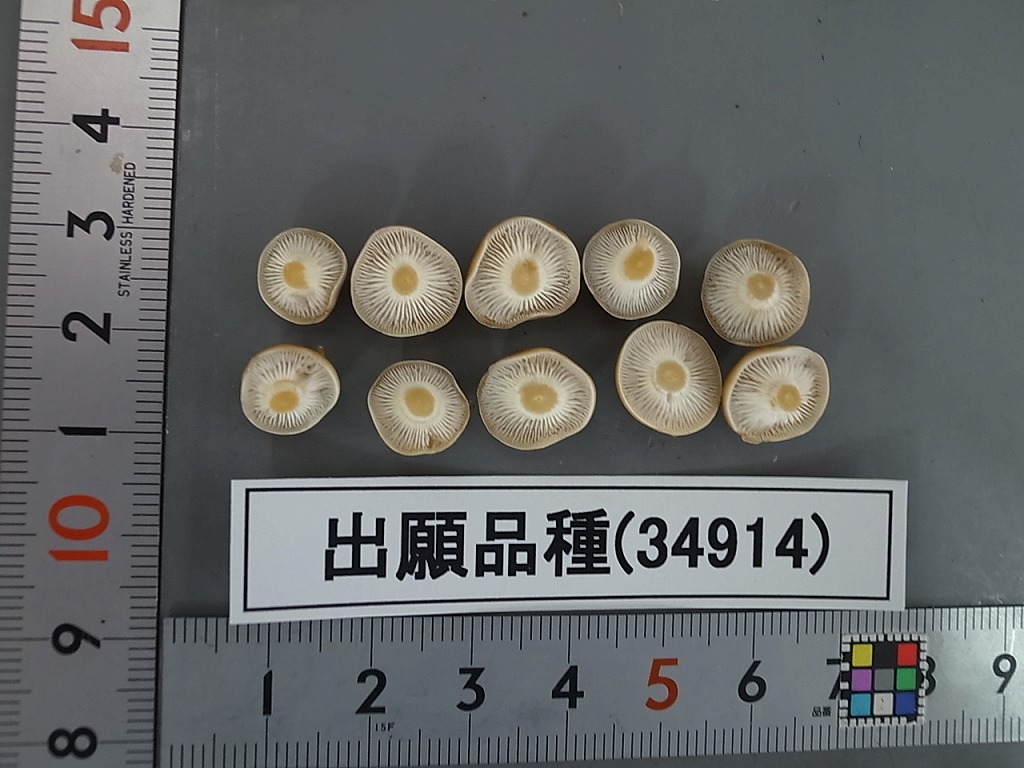 品種登録迅速化総合電子化システム