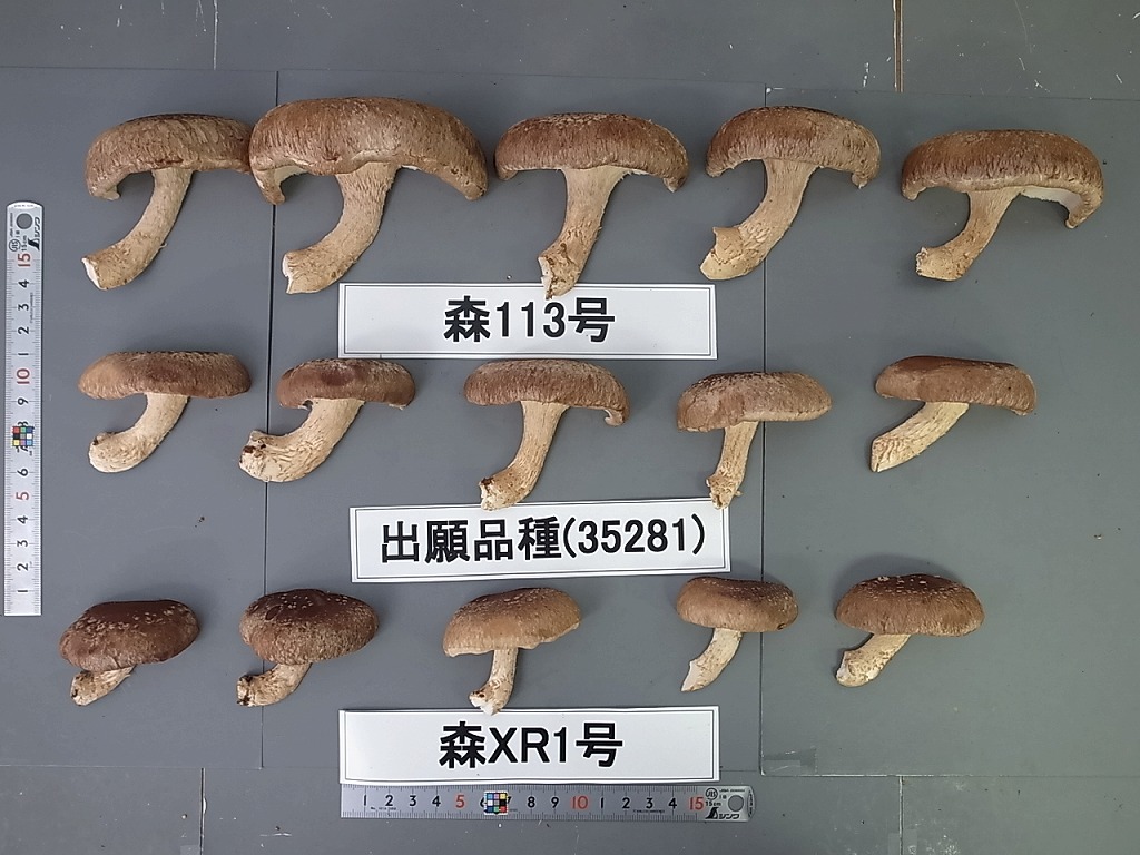 品種登録迅速化総合電子化システム