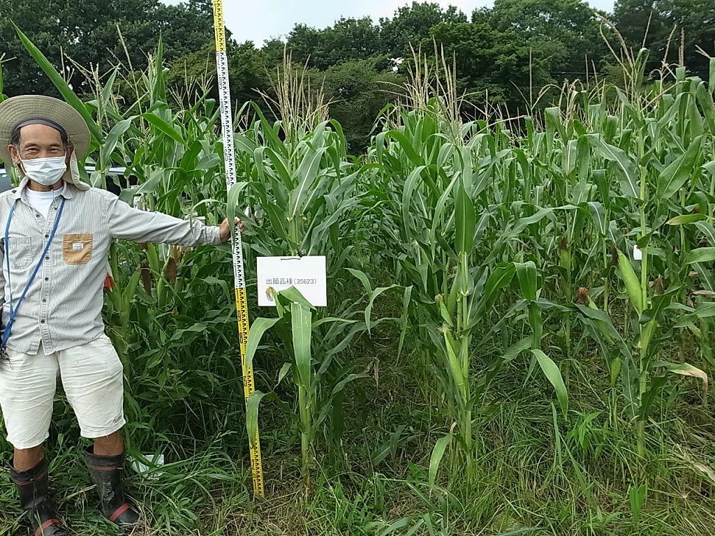 品種登録迅速化総合電子化システム