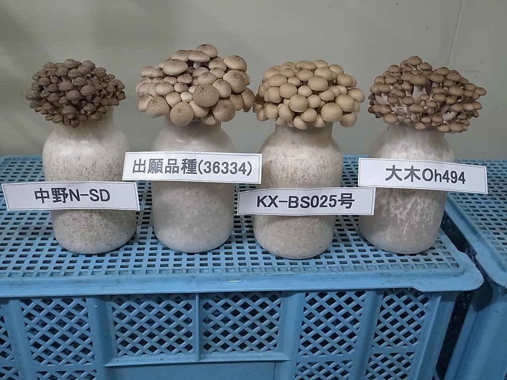 品種登録迅速化総合電子化システム