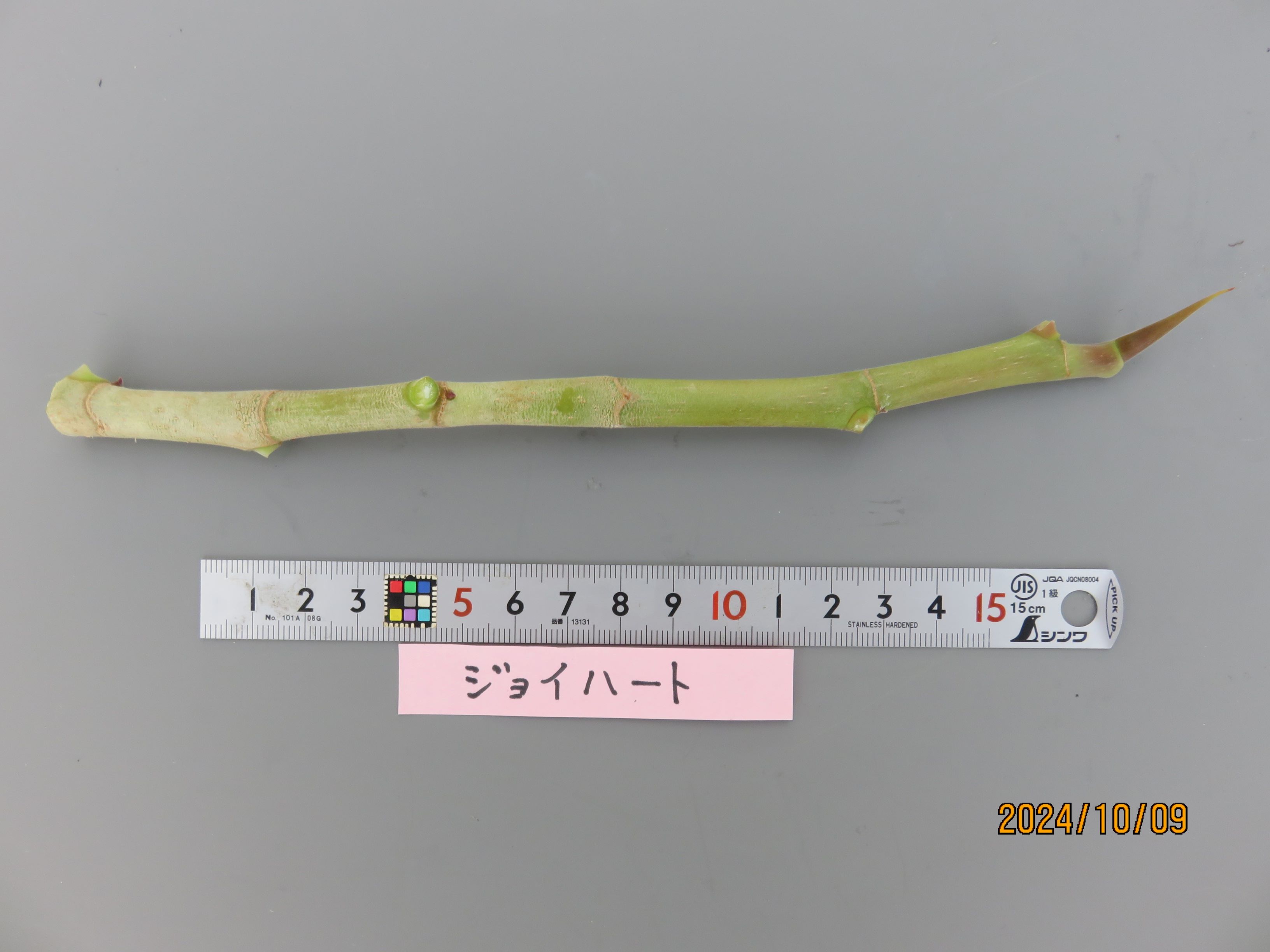 品種登録迅速化総合電子化システム